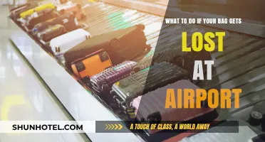Lost Luggage at the Airport: Quick Steps to Recover Your Bag