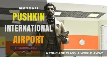 Explore A.S. Pushkin Airport: Top Activities & Travel Tips