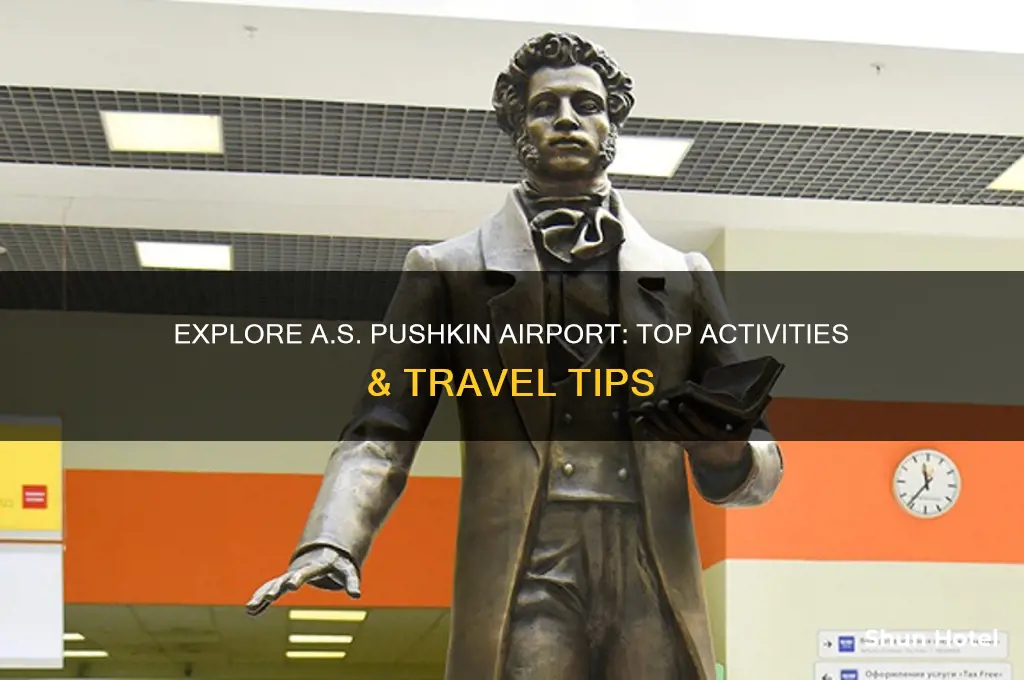 what to do in a.s pushkin international airport