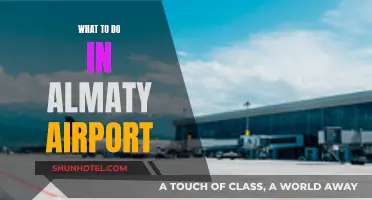 Exploring Almaty: Airport Activities and Attractions