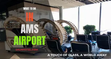 Exploring Amsterdam Airport: Things to Do and See