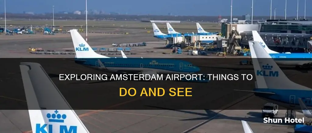 what to do in ams airport