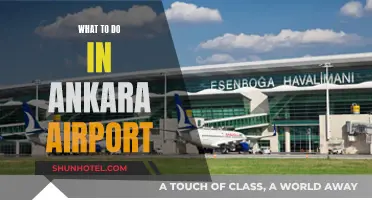 Exploring Ankara Airport: Things to Do and See