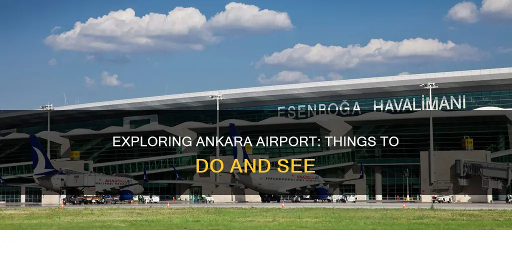 what to do in ankara airport