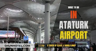 Exploring Istanbul: A Guide to Atatürk Airport and Beyond