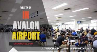 Exploring Avalon Airport: Activities and Attractions