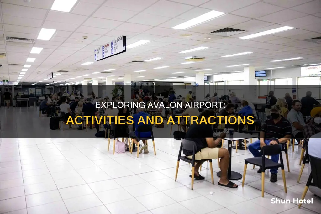 what to do in avalon airport