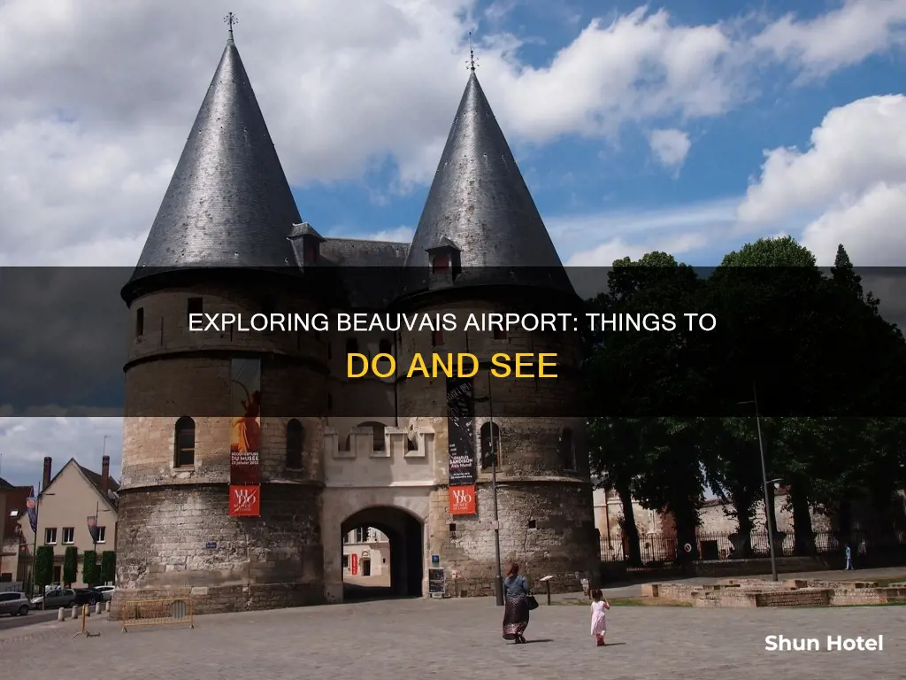 what to do in beauvais airport