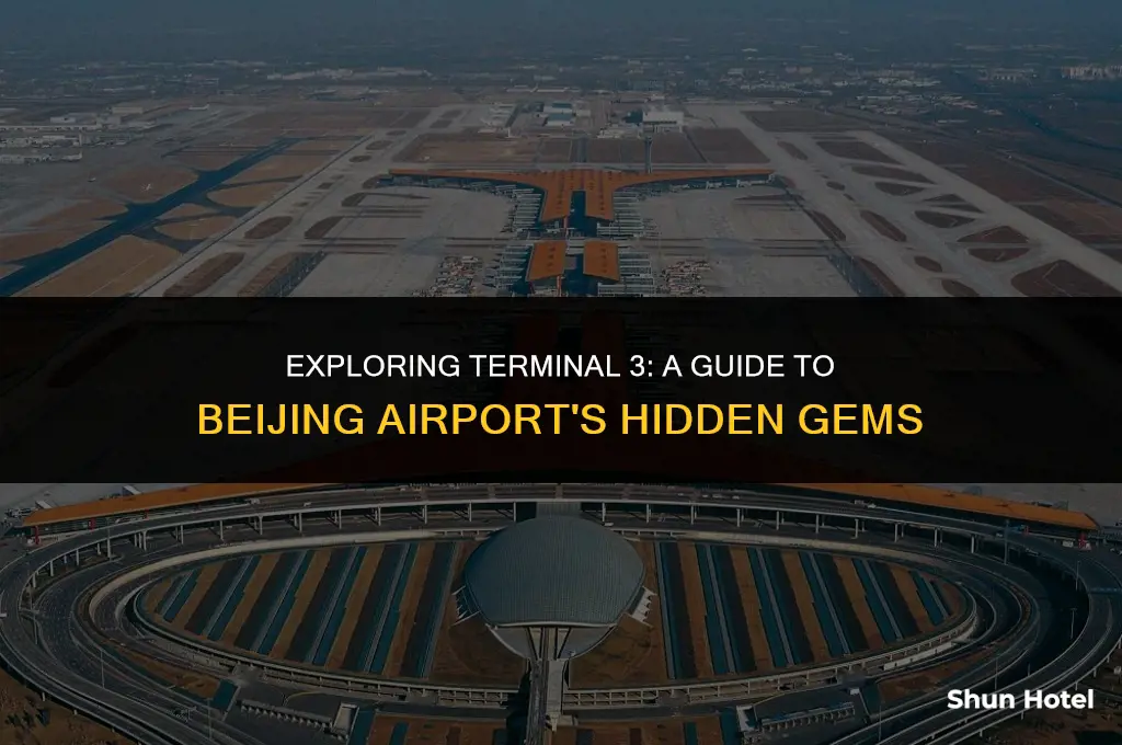 what to do in beijing airport terminal 3