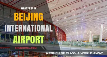 Exploring Beijing International Airport: Top Activities and Must-See Spots