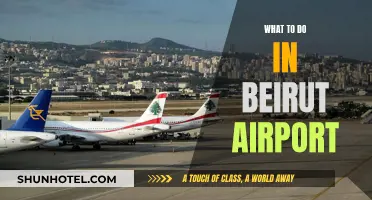Exploring Beirut Airport: Things to Do and See