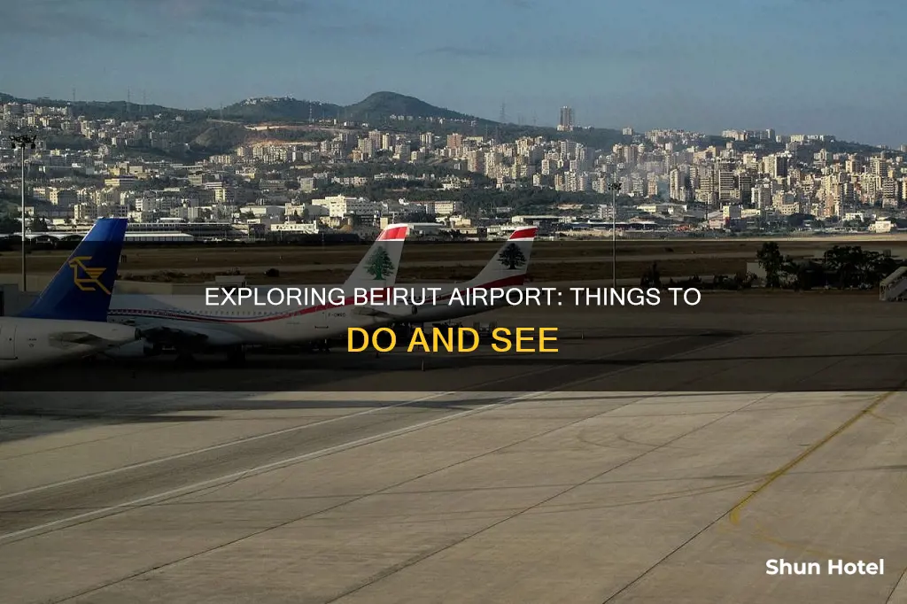 what to do in beirut airport