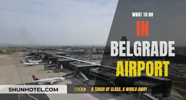 Exploring Belgrade Airport: Things to Do and See