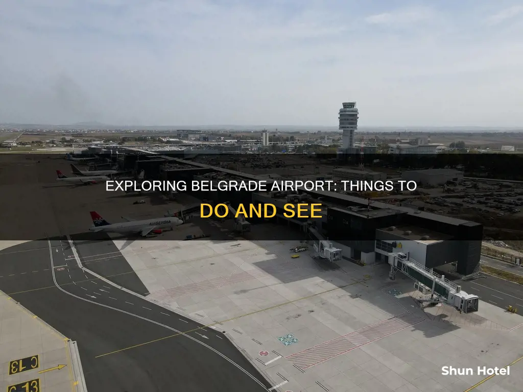 what to do in belgrade airport