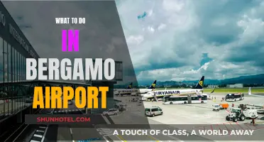 Exploring Bergamo Airport and Beyond: A Traveler's Guide