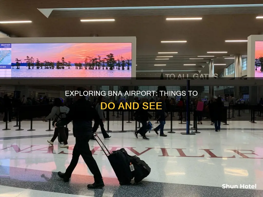 what to do in bna airport