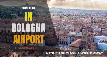 Exploring Bologna: Airport Activities and Attractions