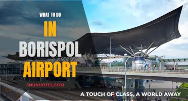 Exploring Boryspil Airport: Things to Do and See