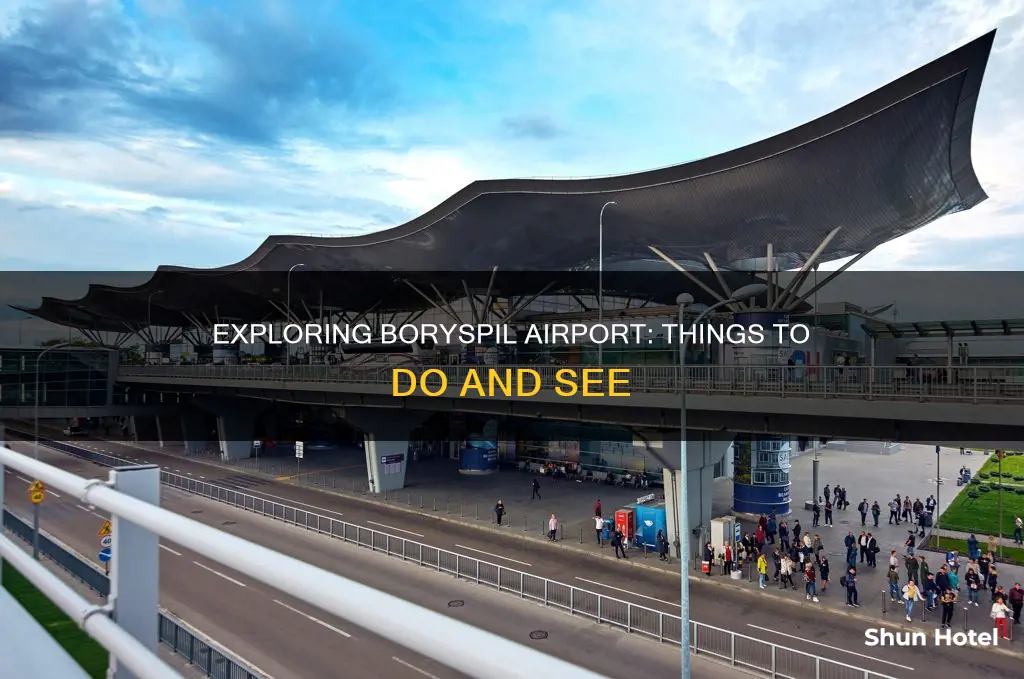 what to do in borispol airport