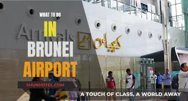Exploring Brunei Airport and Beyond: A Traveler's Guide