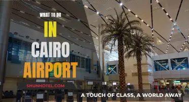 Exploring Cairo Airport: Things to Do and See