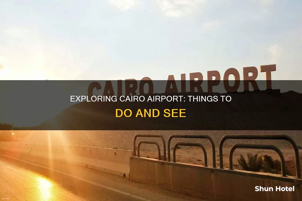 what to do in cairo airport