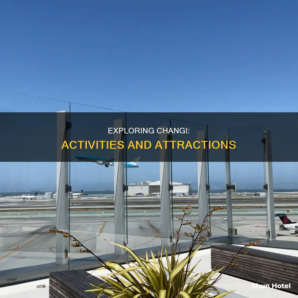what to do in can airport