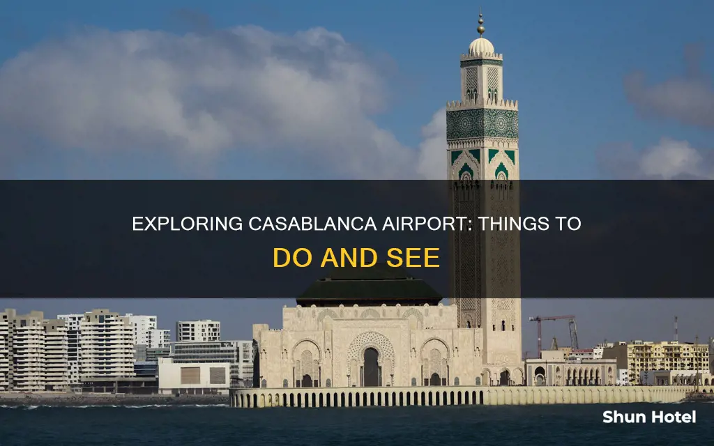 what to do in casablanca airport
