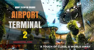 Exploring Changi Airport Terminal 2: A Traveler's Guide