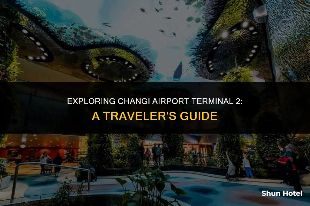 what to do in changi airport terminal 2
