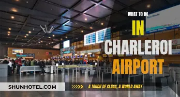 Exploring Charleroi Airport: Things to Do and See