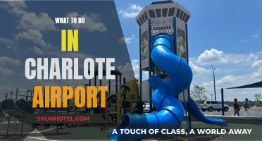 Exploring Charlotte Airport: Things to Do and See