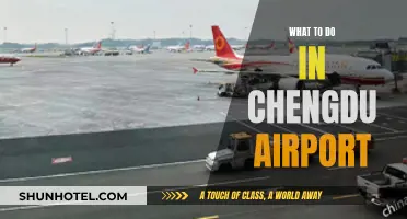 Exploring Chengdu Airport: Things to Do and See