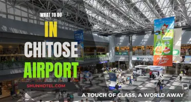Exploring Chitose Airport: Activities and Attractions