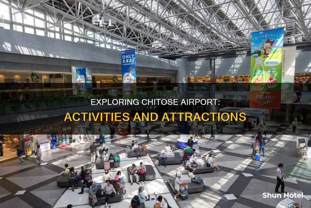 what to do in chitose airport
