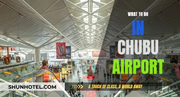 Chubu Airport Layover: Things to Do and See