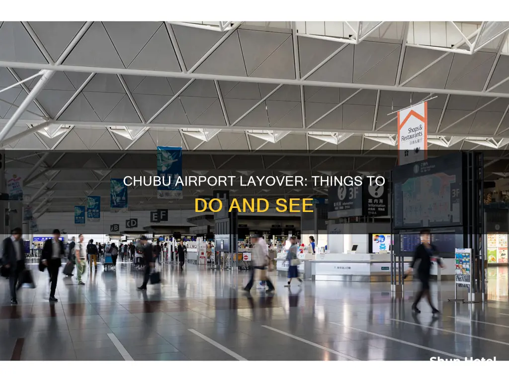 what to do in chubu airport