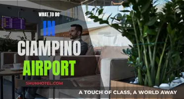 Exploring Ciampino Airport: Things to Do and See