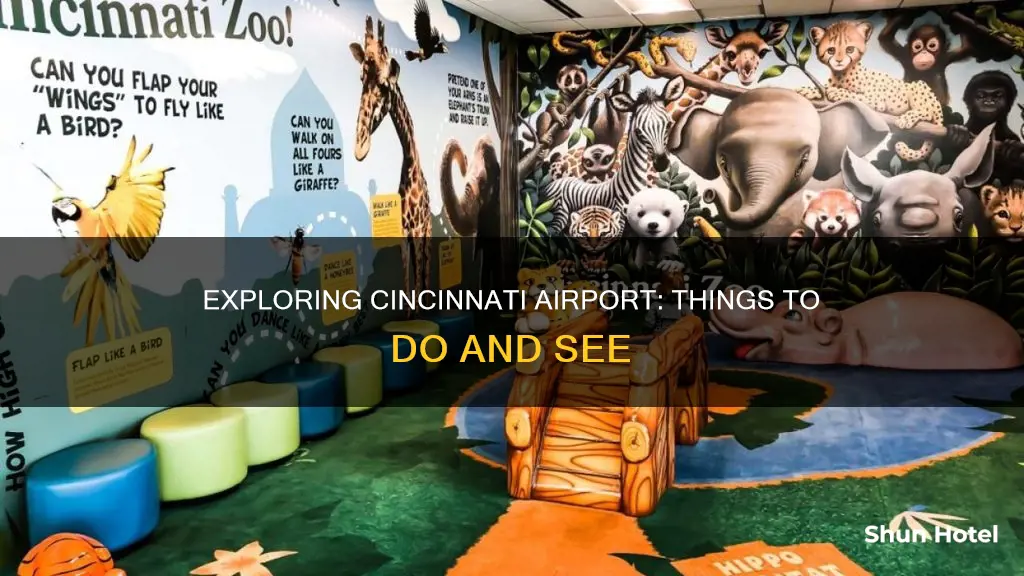 what to do in cincinnati airport