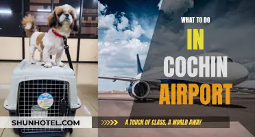 Exploring Cochin: Airport Layover Activities