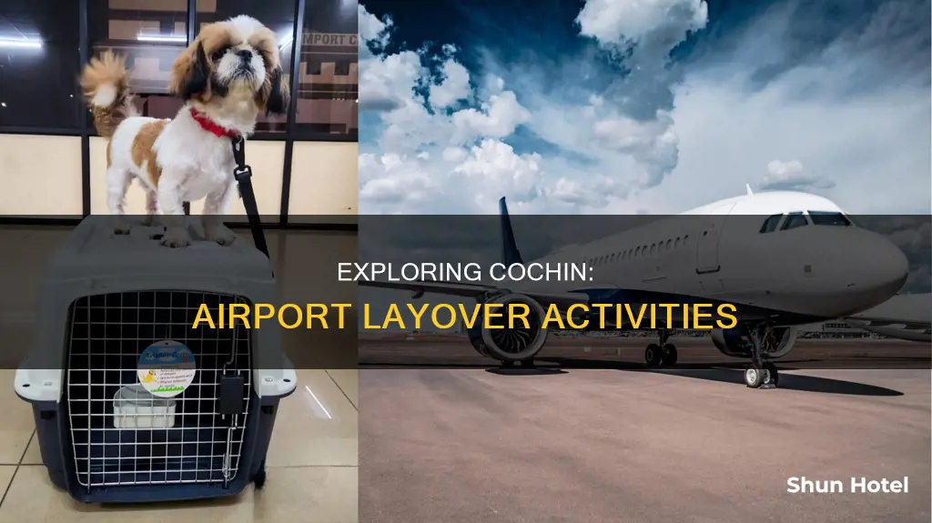 what to do in cochin airport