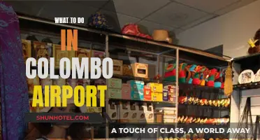 Colombo Airport Layover: Things to Do and See