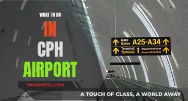 CPH Airport Layover: Things to Do