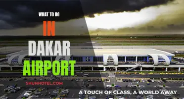 Exploring Dakar: Airport Layover Activities