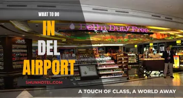 Exploring Delhi Airport: Things to Do and See