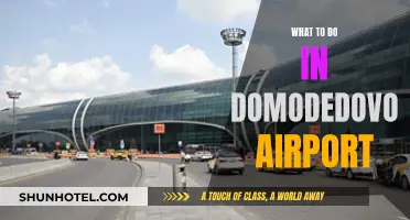 Exploring Domodedovo Airport: Things to Do and See