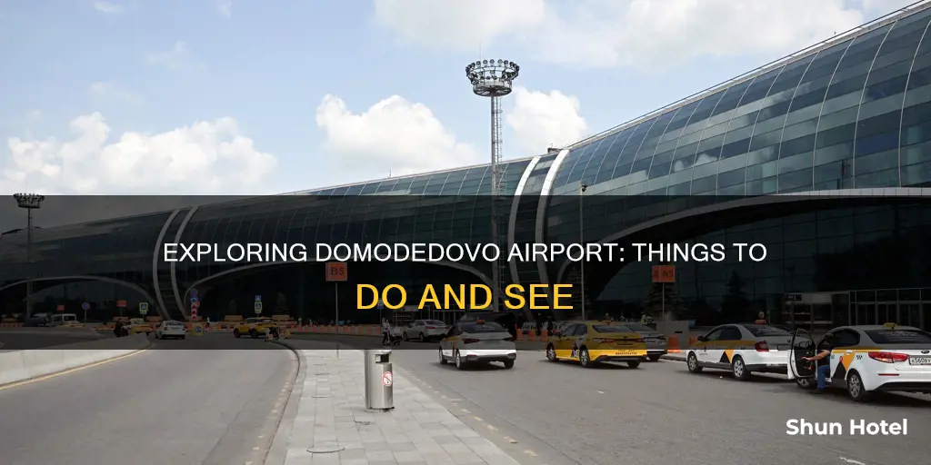what to do in domodedovo airport