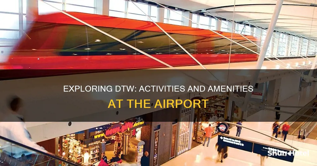 what to do in dtw airport