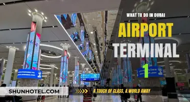 Exploring Dubai Airport Terminal 1: A Traveler's Guide