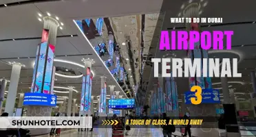 Exploring Dubai Airport Terminal 3: A Traveler's Guide